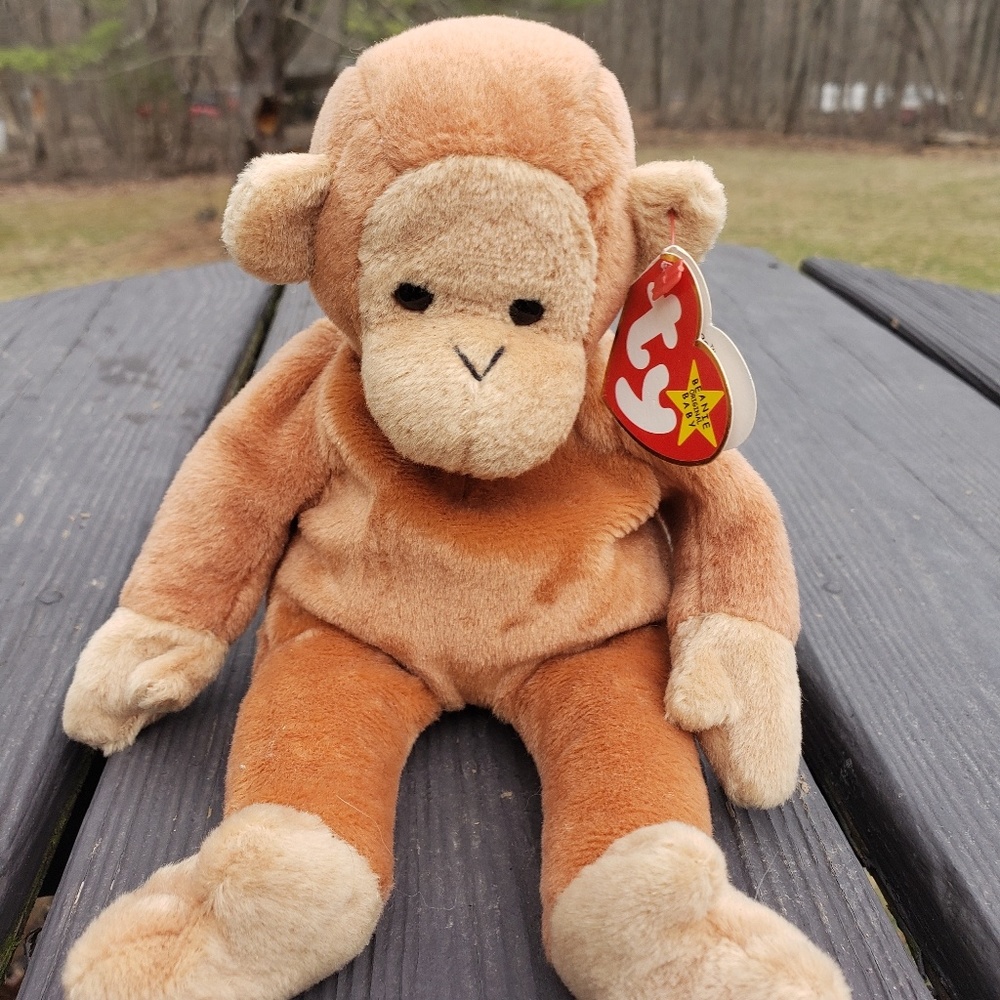 Beanie baby Bongo rare